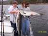 (10/09/2004) - Nice Striped Bass