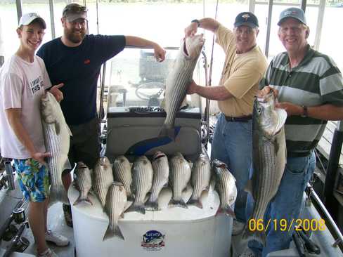 Nice Striped Bass