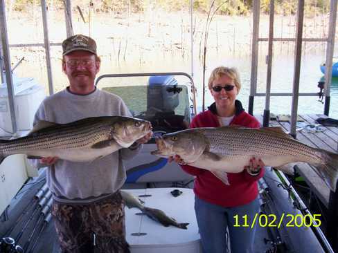 Nice Striped Bass