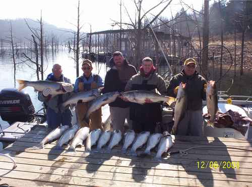 Excellent Striper Fishing