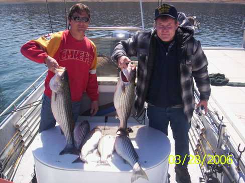 Nice Striped Bass