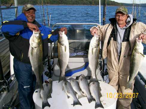 Nice Striped Bass