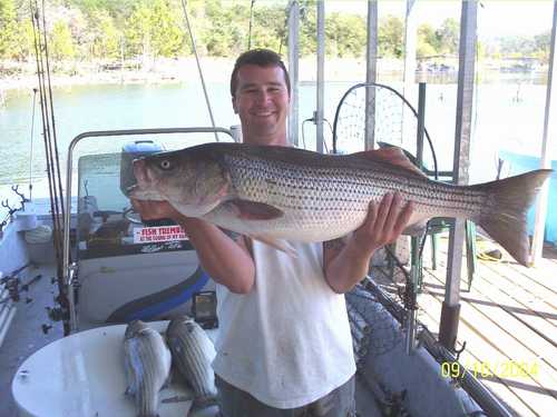 Nice Striped Bass