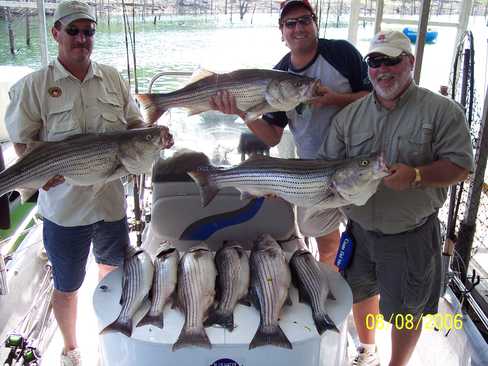 Nice Striped Bass