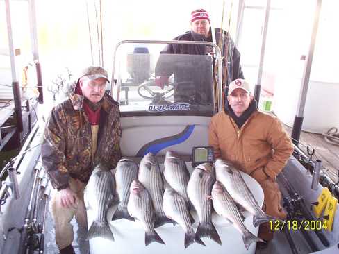 Nice Striped Bass