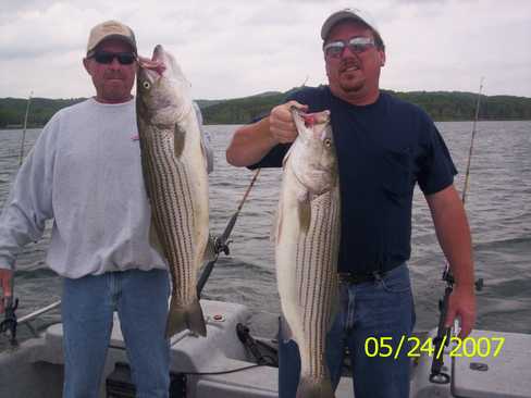 Nice Striped Bass