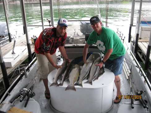 Nice Striped Bass