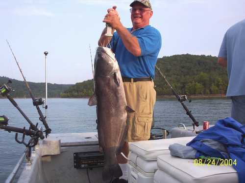 Nice Striped Bass