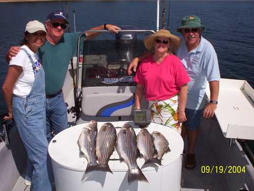 Nice Striped Bass