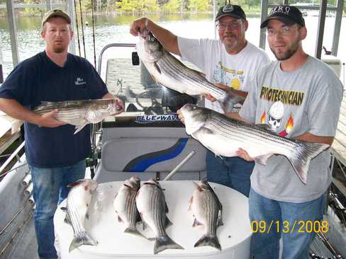 Nice Striped Bass