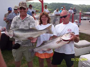 Nice Striped Bass