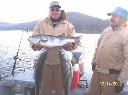 Nice Striped Bass