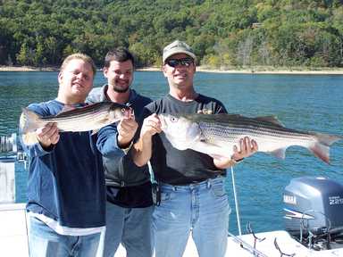 Nice Striped Bass