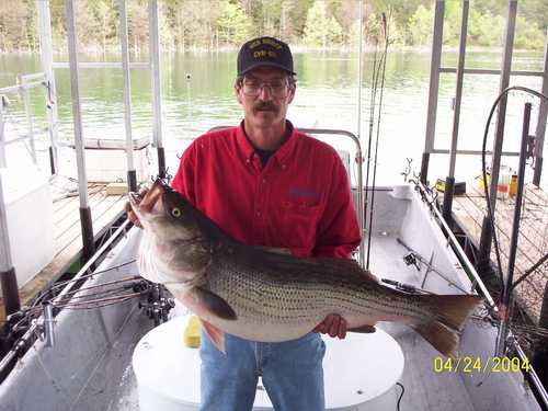 Now that is a Hog Striper