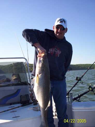 Nice Striped Bass