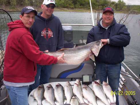 Nice Striped Bass