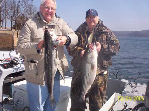 Nice Striped Bass