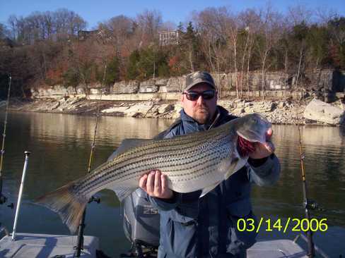 Nice Striped Bass
