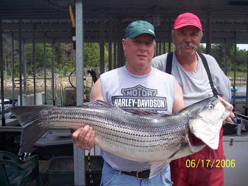 Nice Striped Bass