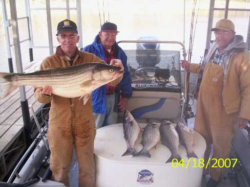 Nice Striped Bass