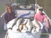 (04/04/2004) - Nice Striped Bass