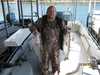 (10/24/2009) - Nice Striped Bass