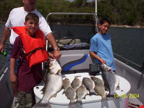 Nice Striped Bass