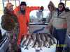 (03/04/2007) - Nice Striped Bass