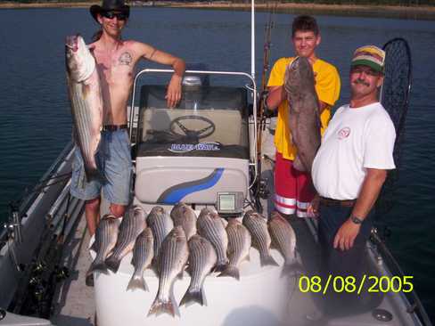 Nice Striped Bass