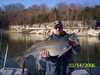 (03/14/2006) - Nice Striped Bass