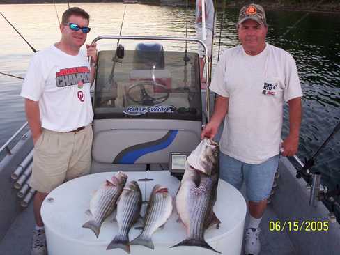 Nice Striped Bass