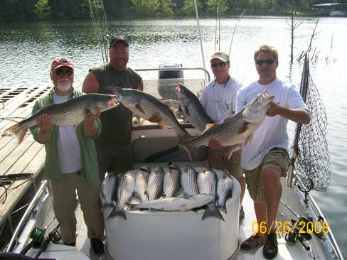 Nice Striped Bass