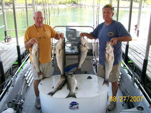 Nice Striped Bass