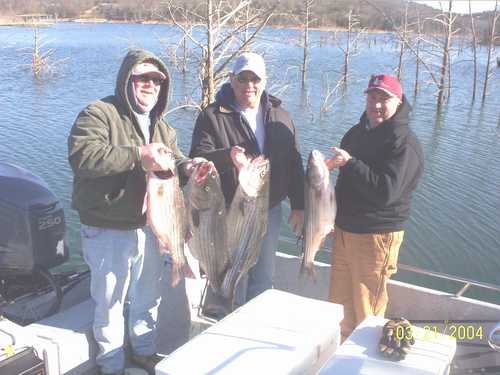 Nice Striped Bass