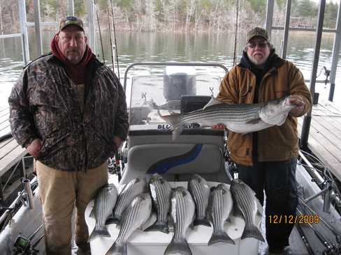 Nice Striped Bass