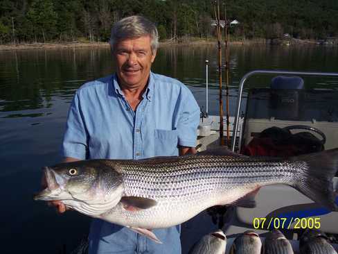 Nice Striped Bass