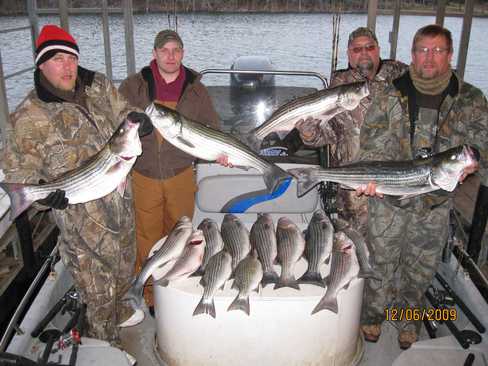 Nice Striped Bass