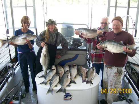 Nice Striped Bass