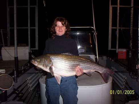 Nice Striped Bass