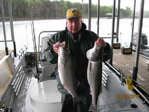Nice Striped Bass