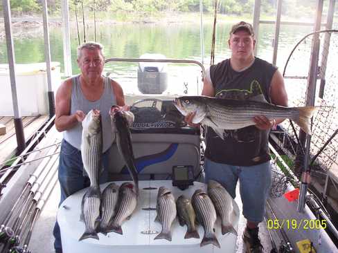 Nice Striped Bass