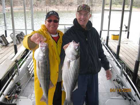 Nice Striped Bass