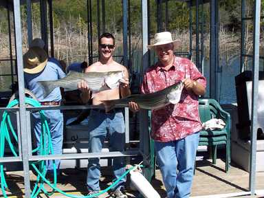 Nice Striped Bass