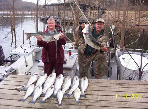 Nice Striped Bass