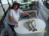 (06/19/2009) - Nice Striped Bass