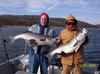 (12/07/2003) - These could be your Stripers