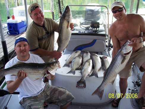 Nice Striped Bass