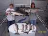(10/09/2004) - Nice Striped Bass
