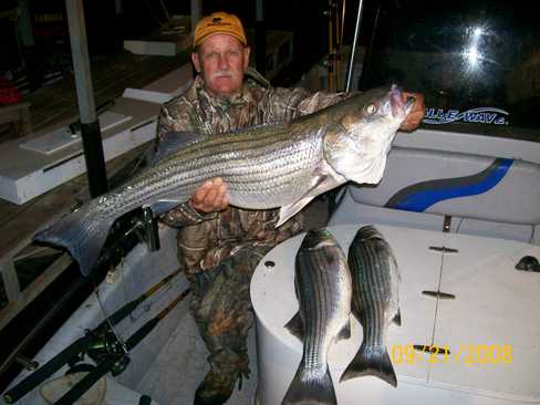 Nice Striped Bass