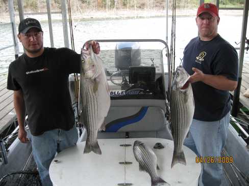 Nice Striped Bass